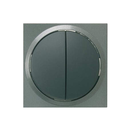 Düwi / Rev Terraluxe Titan Grau Serienschalter